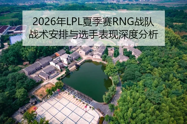 2026年LPL夏季赛RNG战队战术安排与选手表现深度分析